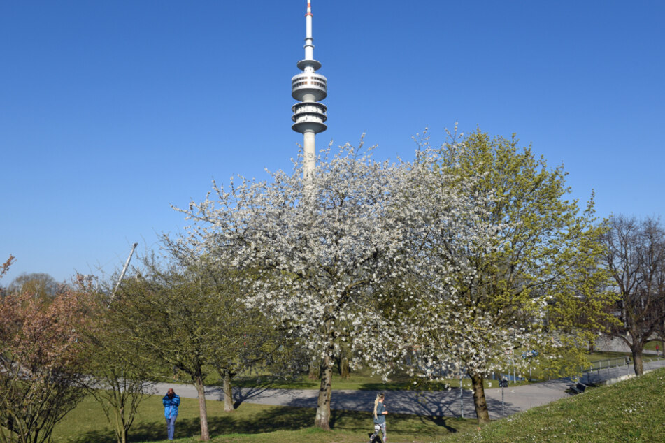 Passanten spazieren mit Sicherheitsabstand durch den Olympiapark in München.
