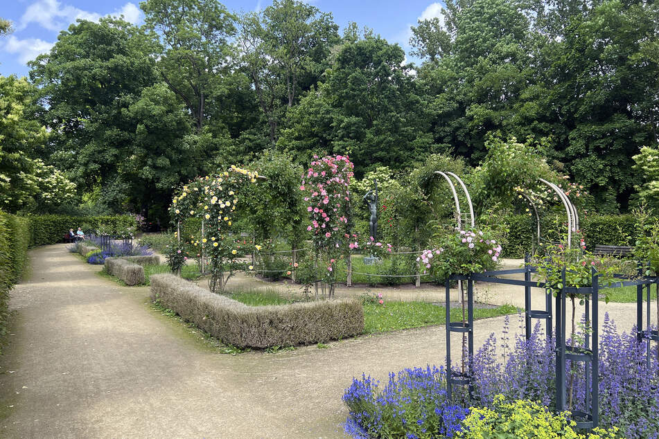 Die vielen Grünflächen und Parkanlagen in Chemnitz sorgen ebenfalls für eine gute Lebensqualität.
