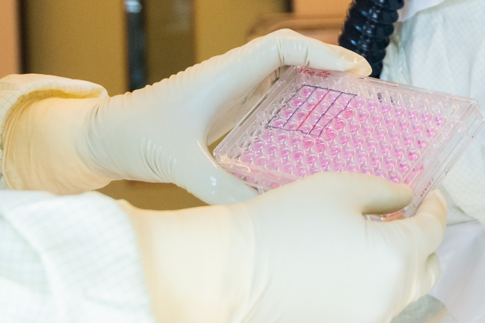 Haben die Forscher von "Sorrento Therapeutics" einen Durchbruch im Kampf gegen das Coronavirus geschafft? (Symbolbild)