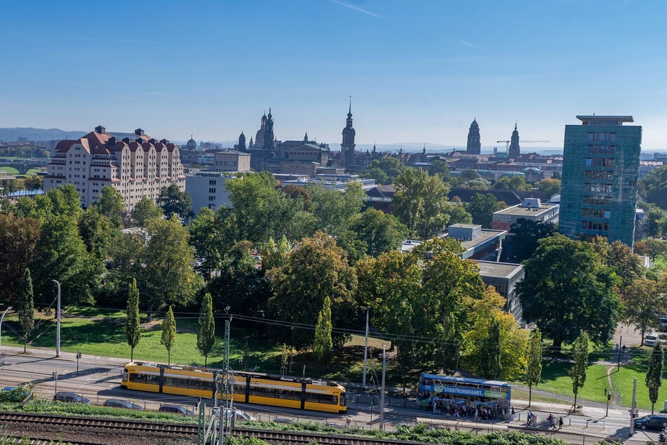 Verdeckt von Bäumen befindet sich hinter dem Haus der Presse ein großer Parkplatz. Der Anbau im Hofbereich, in dem aktuell Werbeagenturen untergebracht sind, soll weichen.