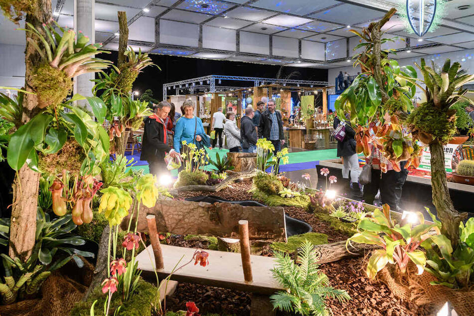 Orchidejová show je nutností pro všechny příznivce botaniky a milovníky rozmanitých rostlin