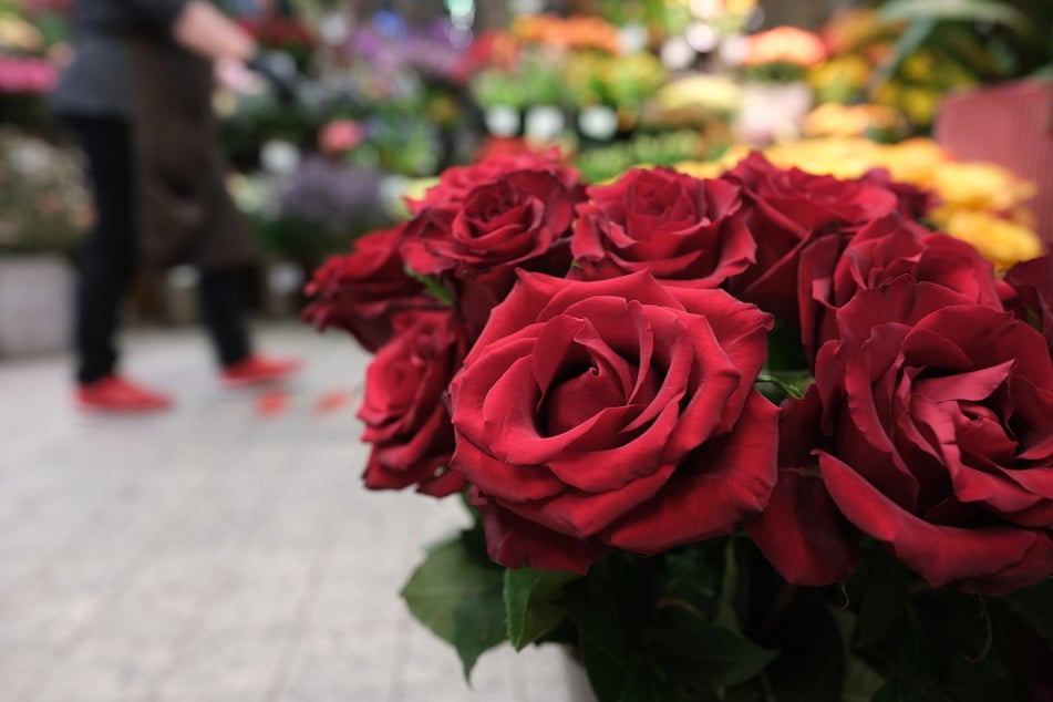 Im Landkreis Harz wurde ein Blumenladen überfallen. Der Gauner ging leer aus. (Symbolbild)