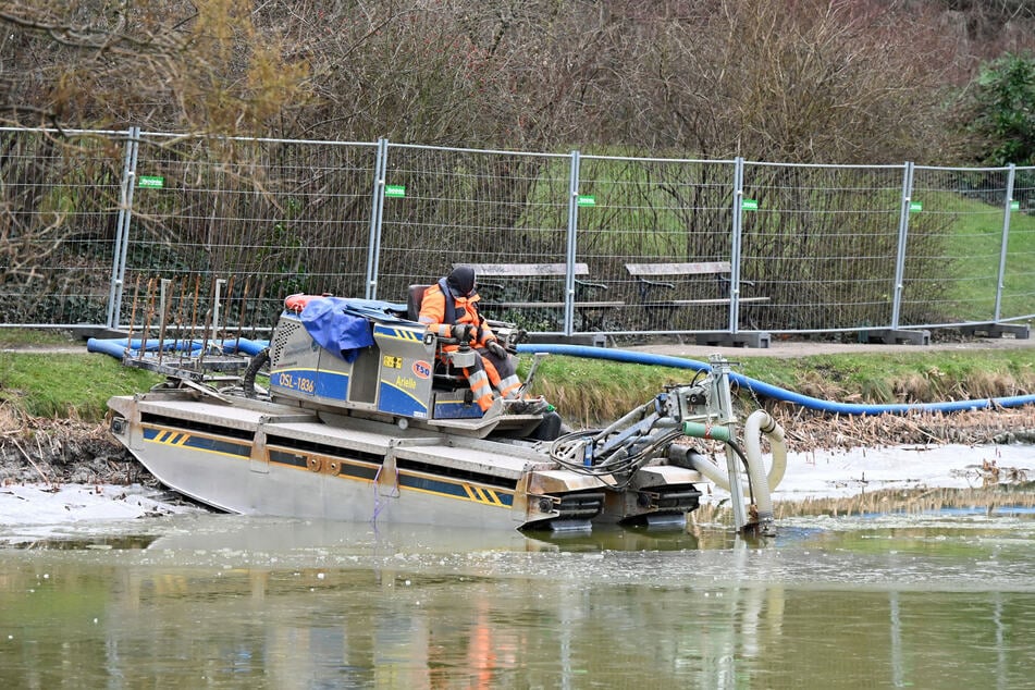 Aktuell konzentrieren sich die Arbeiten auf den Teich.