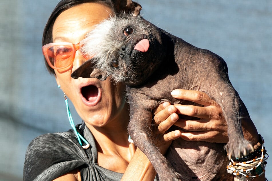 Hässlichster Hund der Welt: Mr. Happy Face erobert die Herzen