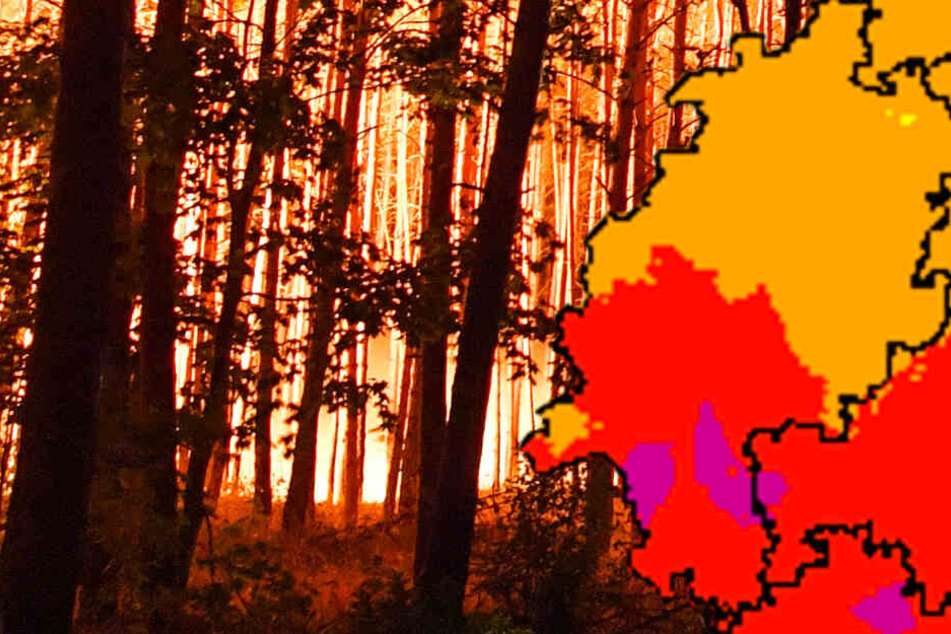 Der Deutsche Wetterdienst meldet für weite Teile von Südhessen eine hohe (Rot) bis sehr hohe (Lila) Waldbrandgefahr.