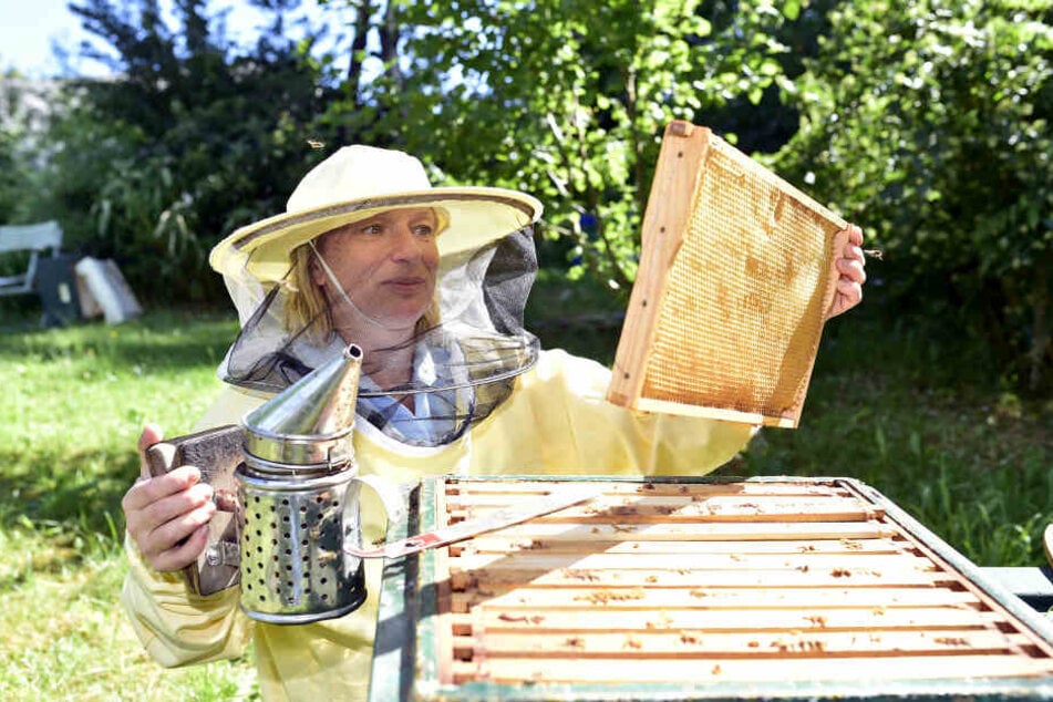 Die Chemnitzer Bienensachverständige Heike Janthur (49) kennt sich auch mit dem Imkern bestens aus.