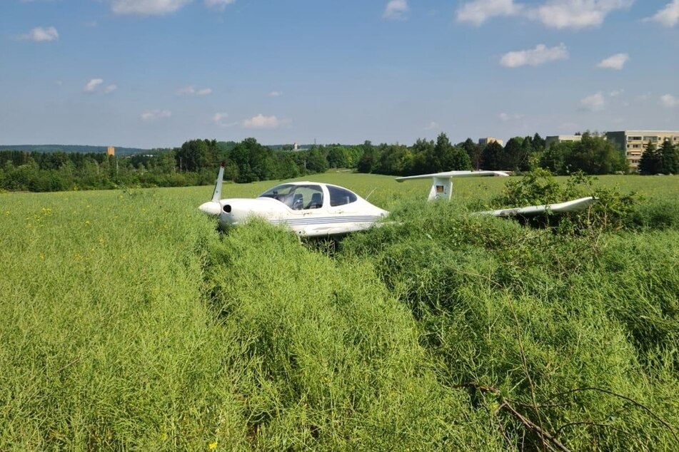 Bruchlandung! Ein Flugzeug landete am Freitagvormittag in einem Rapsfeld in Auerbach.