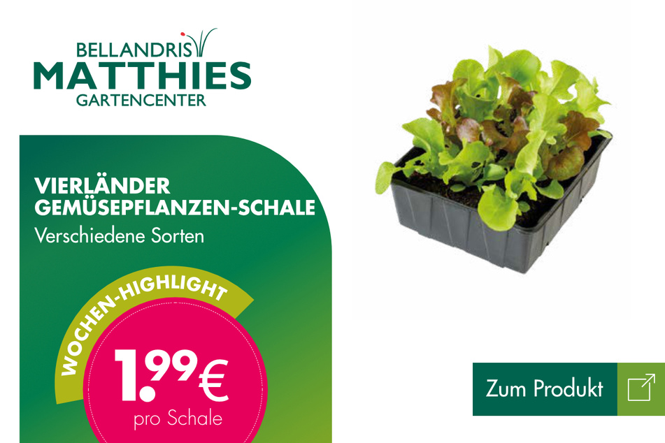 Vierländer Gemüsepflanzen-Schale für je 1,99 Euro
