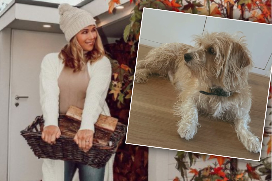Tanja Szewczenko bringt ihren Hund zum Friseur: So sieht Guido jetzt aus