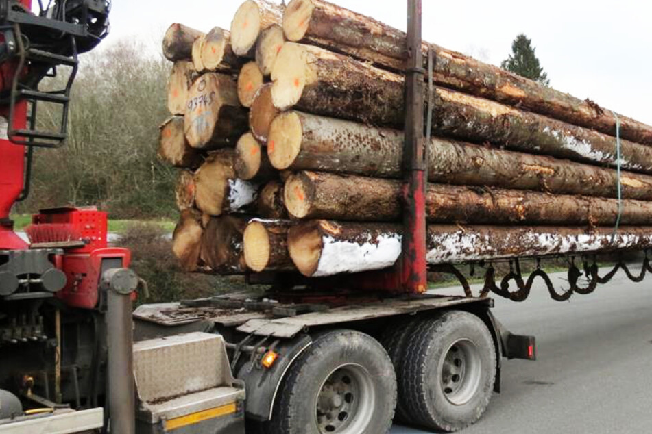 Holztransporter umfährt Kontrolle: Beim Stopp bestätigt sich der erste Eindruck der Polizei