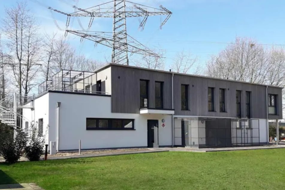 Das Tierheim in Bergheim ist neuerdings um eine Katzen-Mama und ihre Neugeborenen reicher.