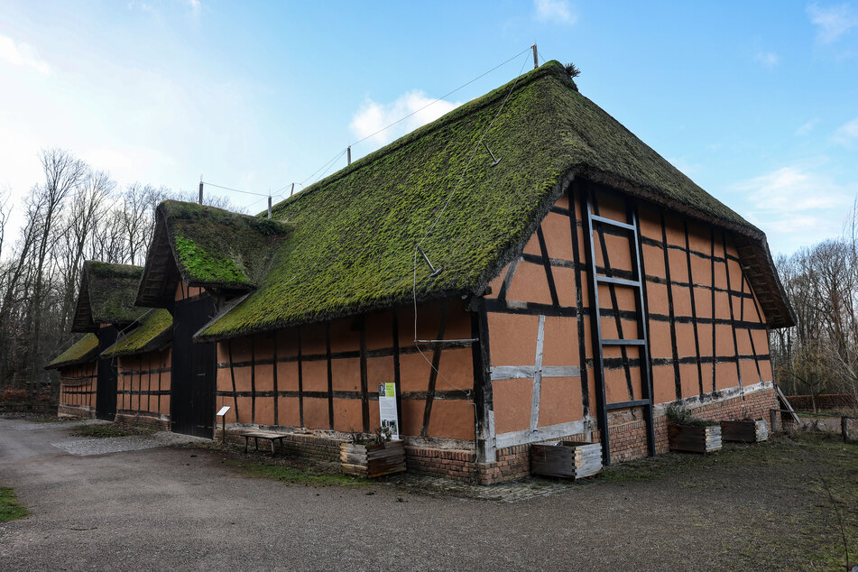 In den Holzbalken des Gebäudes hat sich der Holzwurm breitgemacht.