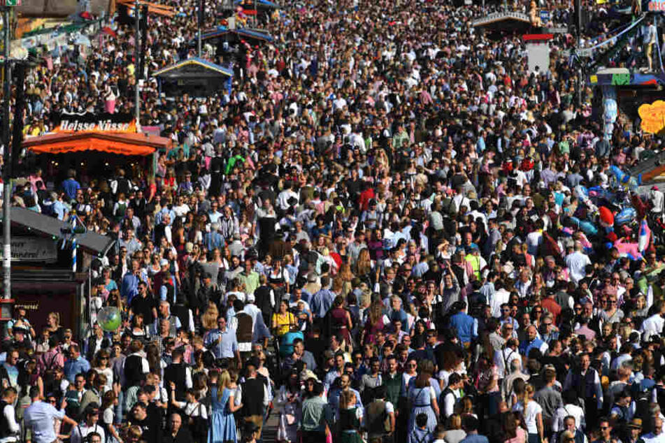 Auf dem Oktoberfest kam es erneut zu einen Sexualdelikt. (Symbolbild)