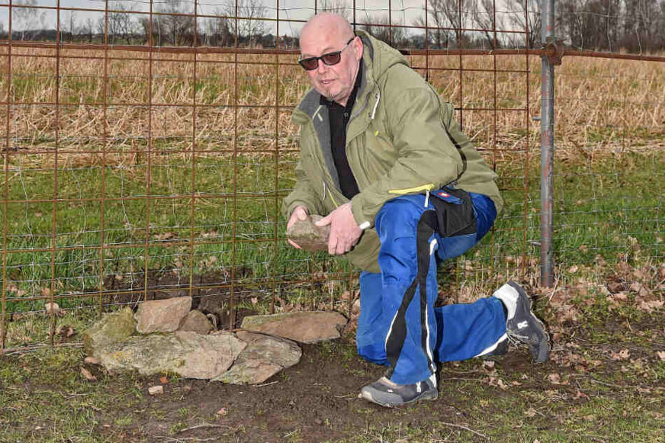 Landwirt Torsten Kühne (53) hat das Loch im Zaun mittlerweile wieder gestopft.