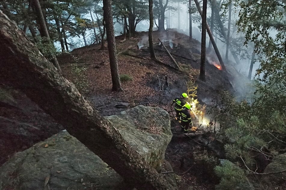 Wieder Brandstiftung im Nationalpark: Feuerwehr rückt mit Lösch-Quad an