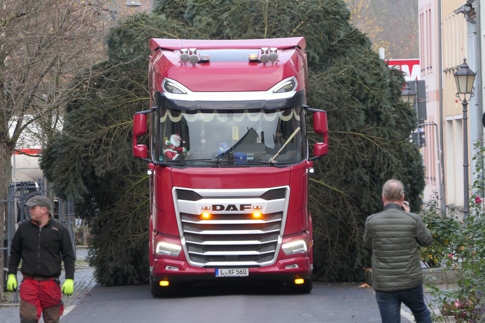 Am Montag rückte der neue Weihnachtsbaum an.