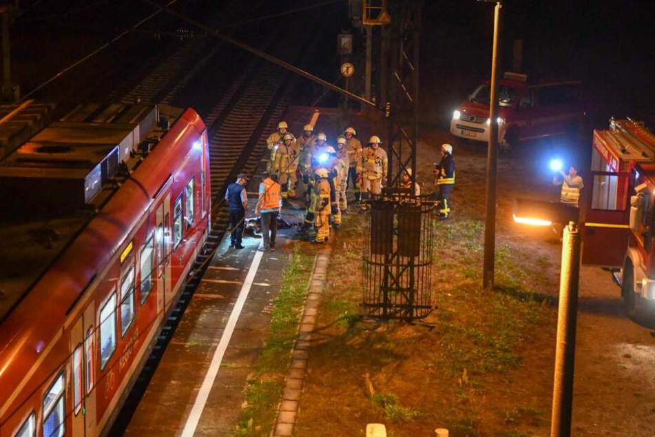 Im Bereich des Haltepunktes Barleber See hat eine S-Bahn Donnerstagabend ein Wildschwein erfasst.