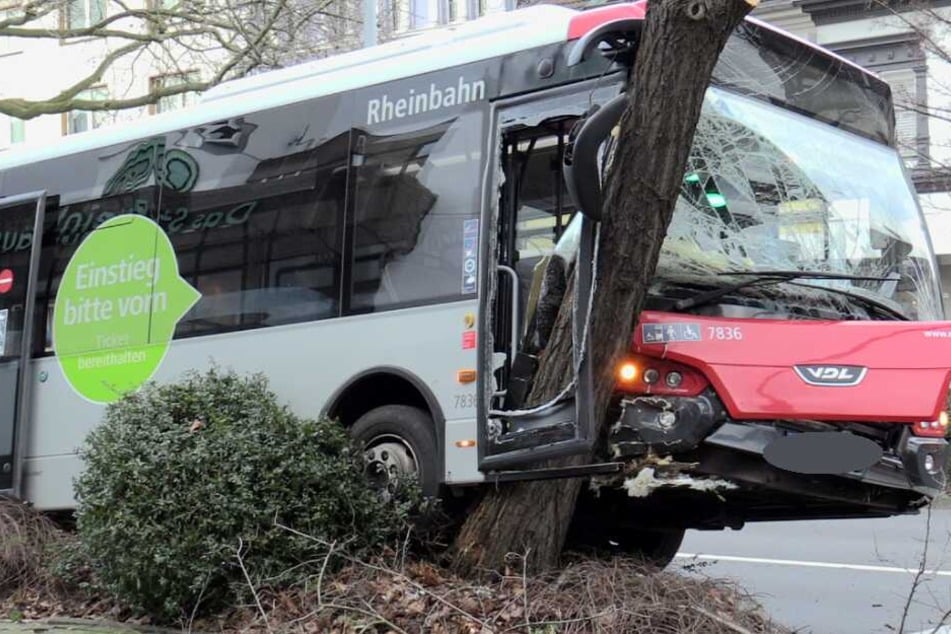 Bei dem Unfall in Hilden verkantete sich der Baum in dem Bus.