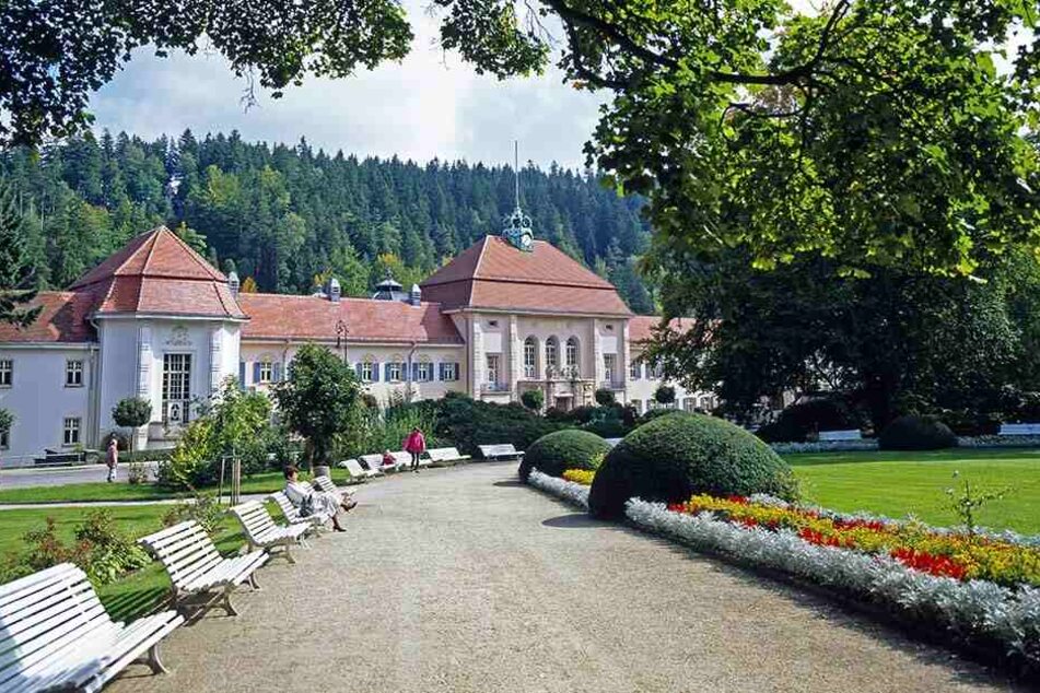 Der Kurpark ist die Seele von Bad Elster. Immer wieder wird er verwüstet.
