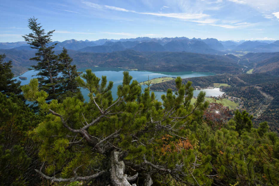 Der Mann ging im oberbayrischen Walchensee tauchen und verunglückte.