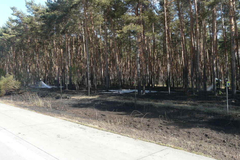 Trotz Einsatzes der Feuerwehr breiteten sich die Flammen zunächst immer weiter aus. Erst nach etwa einer Stunde war der Brand unter Kontrolle.