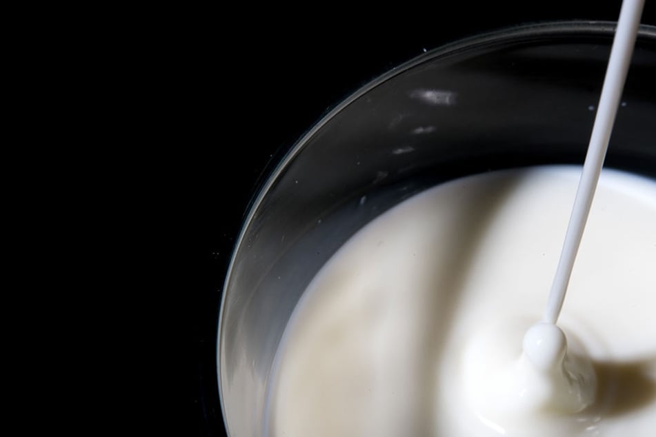 Milch ist laut Professor Bodo Melnik ungesund. Milch erhöht das Risiko für Prostatakrebs