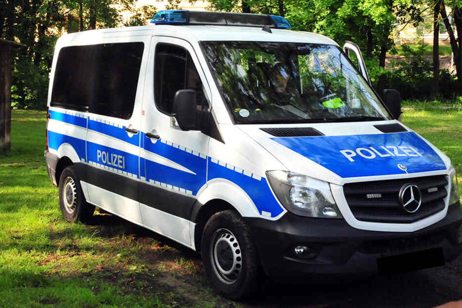 Die Beamten der Dresdner Polizei haben die Präsenz im Park über das Wochenende stark erhöht. (Symbolbild)