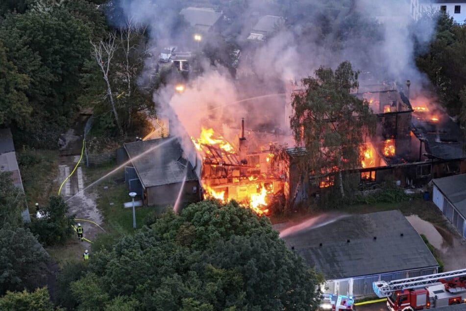 Großbrand in Halle: Tischlerei wird vollständig zerstört, 100.000 Euro Schaden