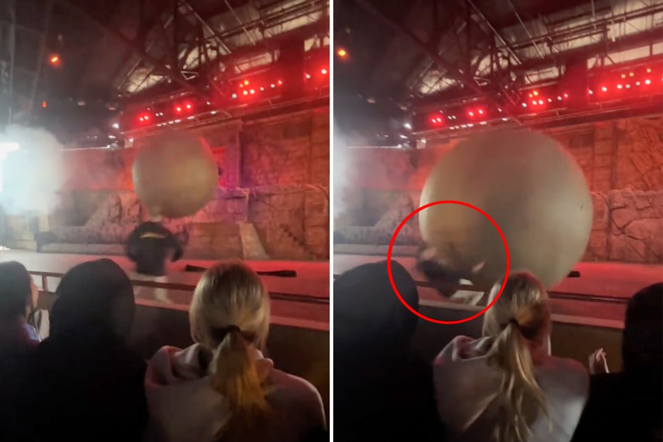 Robert ran to the 400-lb ball in a flash and tried to stop it from hitting the audience.