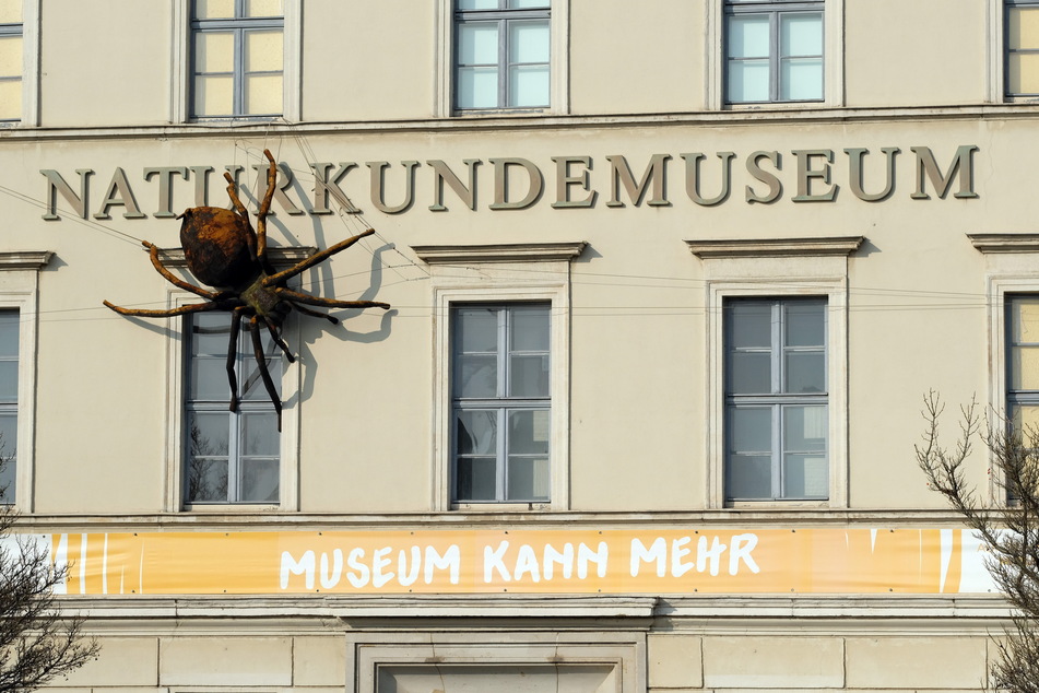 Das Naturkundemuseum lockt bereits mit einer ansprechenden Außenfassade.