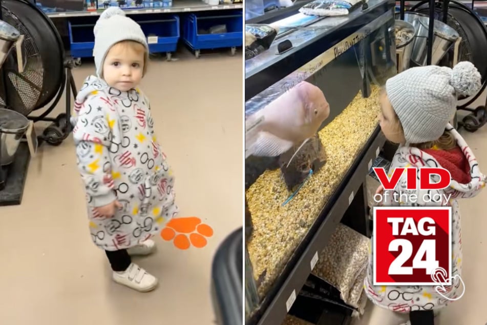 viral videos: Viral Video of the Day for January 11, 2025: Little girl gets big surprise from fish at pet store!