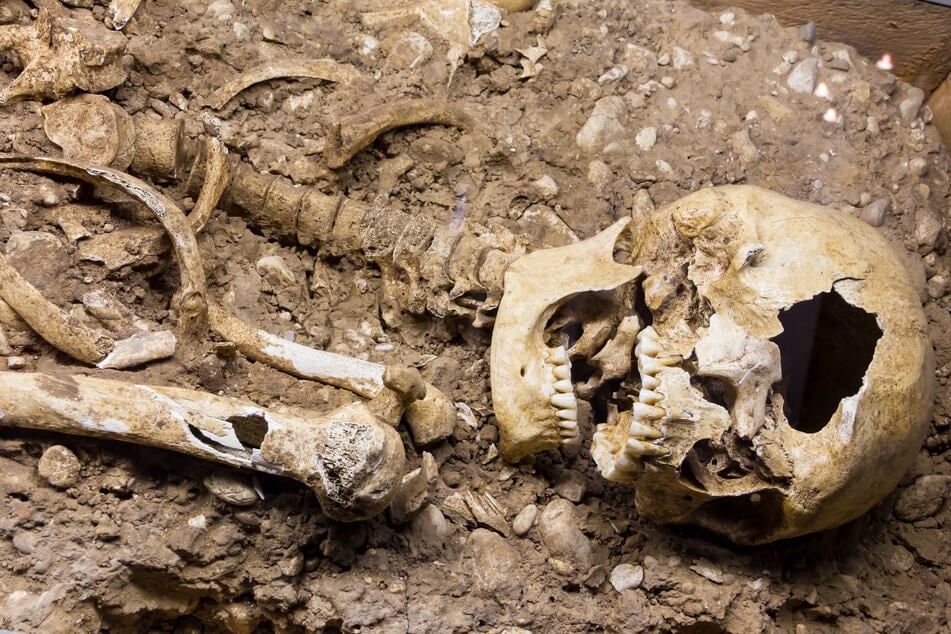 In einem Bachbett hatten Spaziergänger ein menschliches Skelett gefunden. Nun gibt es neue Erkenntnisse. (Symbolbild)