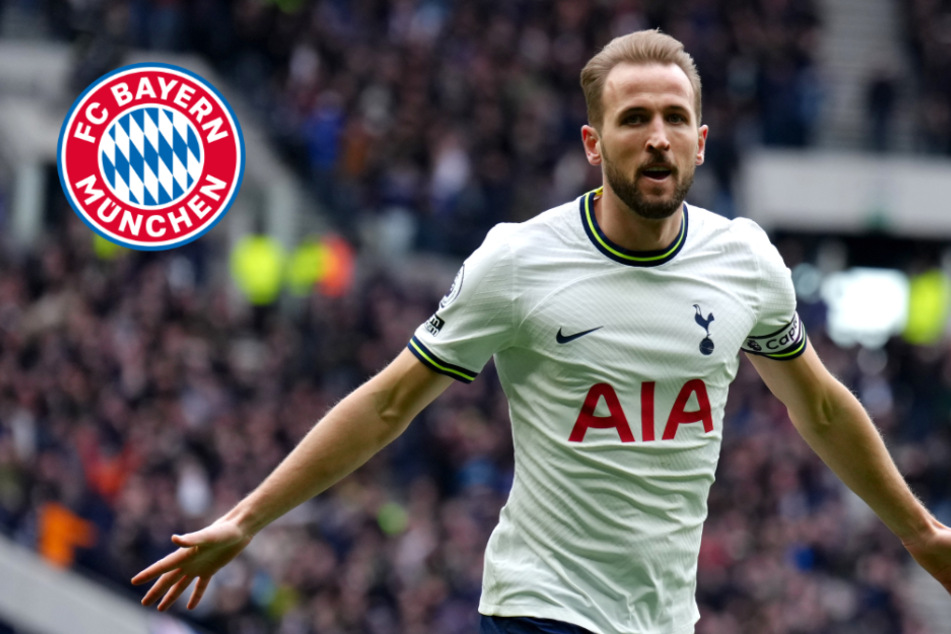 FC Bayern will Harry Kane: Unter diesen Bedingungen lassen die Spurs ihn ziehen