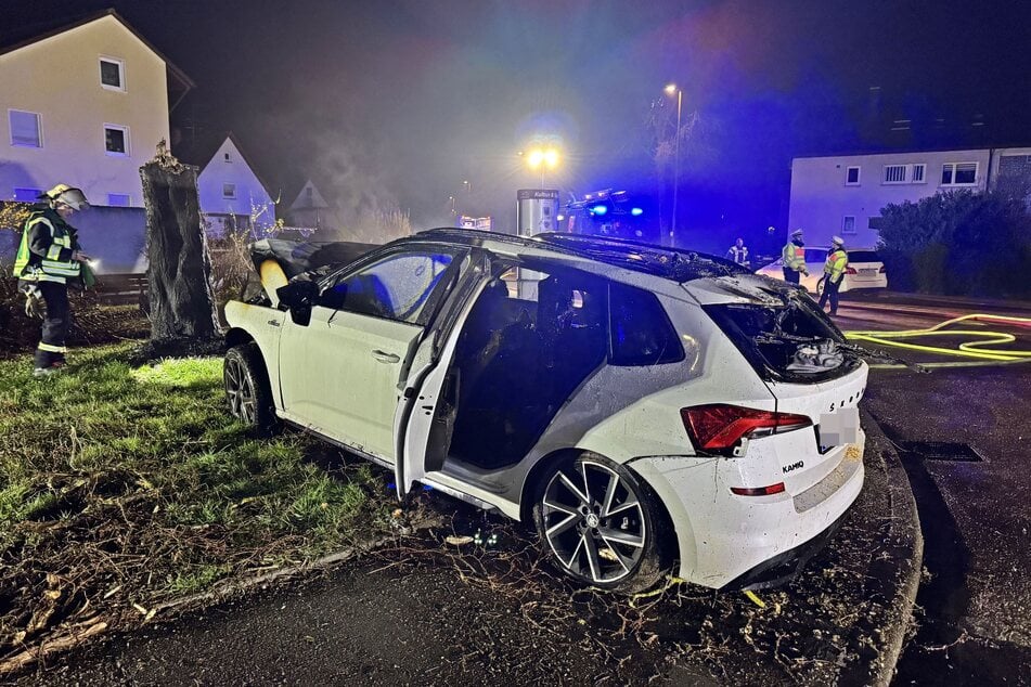 Das Auto kam von der Straße ab und krachte gegen den Baum.