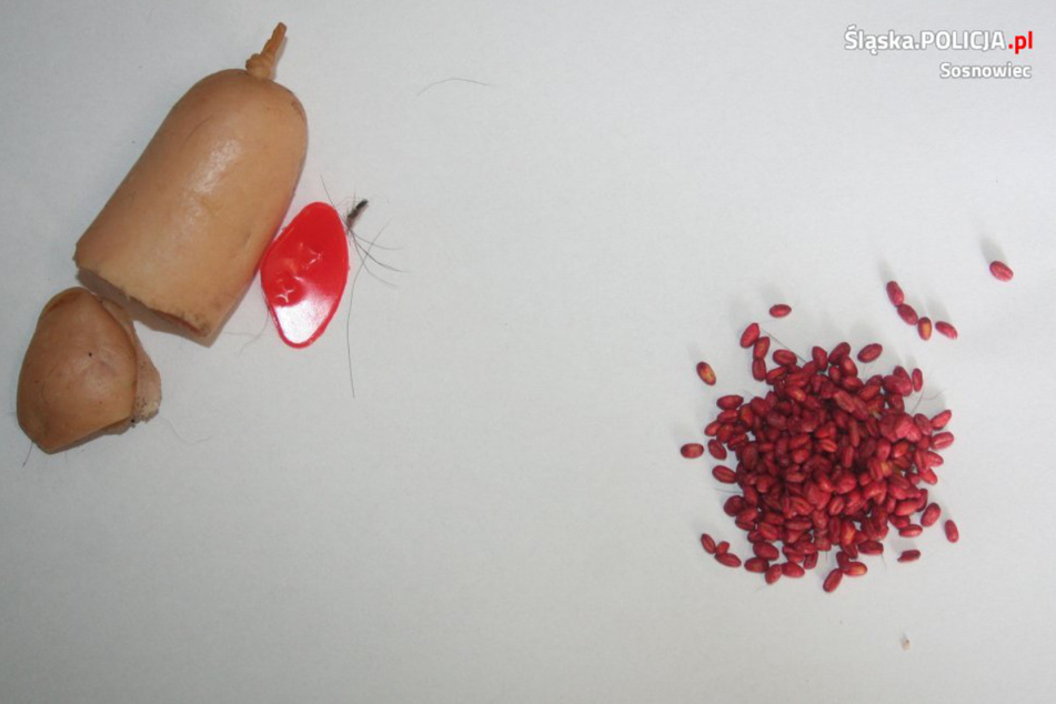 Die mit dem Gift präparierte Wurst.