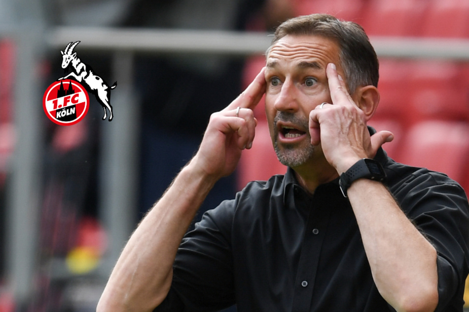 1. FC Köln: Ex-Trainer Beierlorzer hadert immer noch mit seinem FC-Schicksal