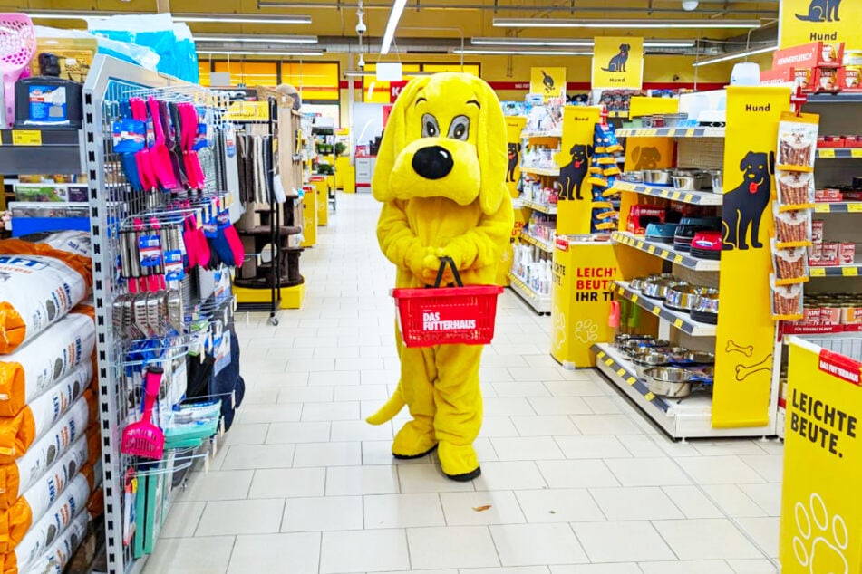 Schnappt Euch einen Korb, packt das Wichtigste für Eure Lieblinge ein und spart bei DAS FUTTERHAUS.