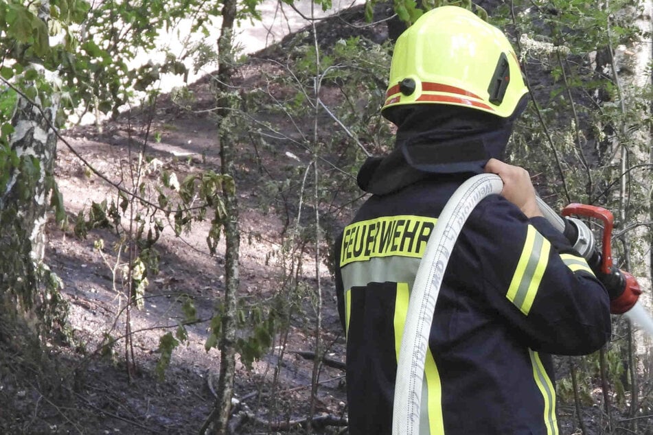 Erste kleine Waldbrände: Hohe Flammengefahr im Norden Sachsens