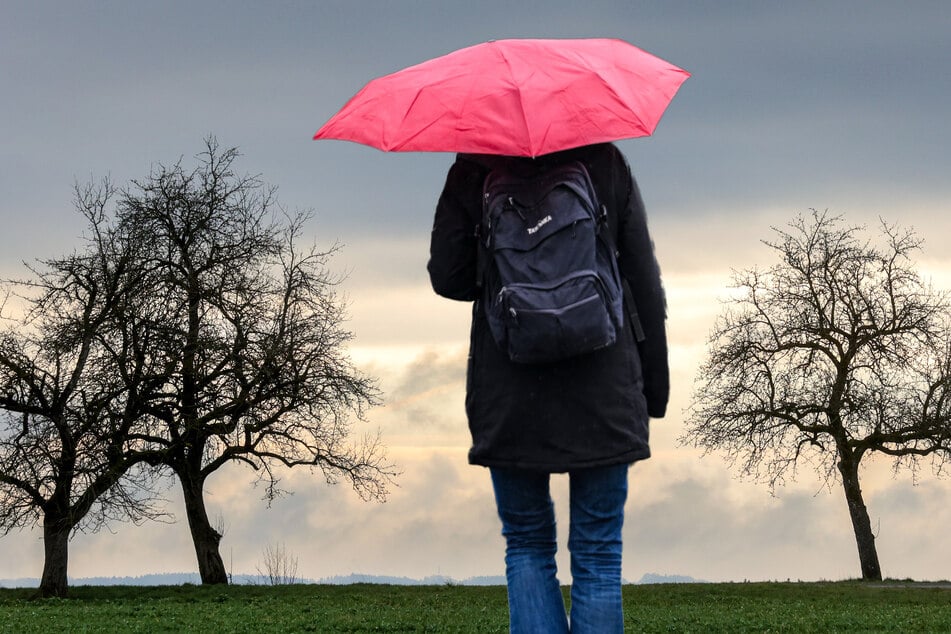 Ab Donnerstag macht der Frühling in Deutschland erst mal Pause.
