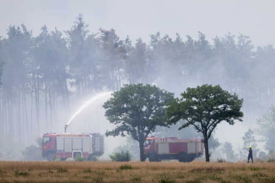 Das Vegetationsfeuer in der Gohrischheide lodert schon seit fünf Tagen. Die Einsatzkräfte bleiben gefordert.