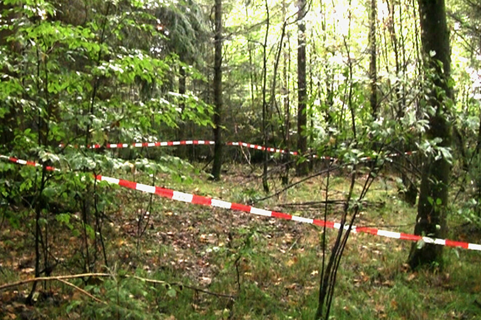 In diesem Waldstück bei Regensburg fanden Pilzsammler im Herbst 2013 die Leiche von Maria Baumer.