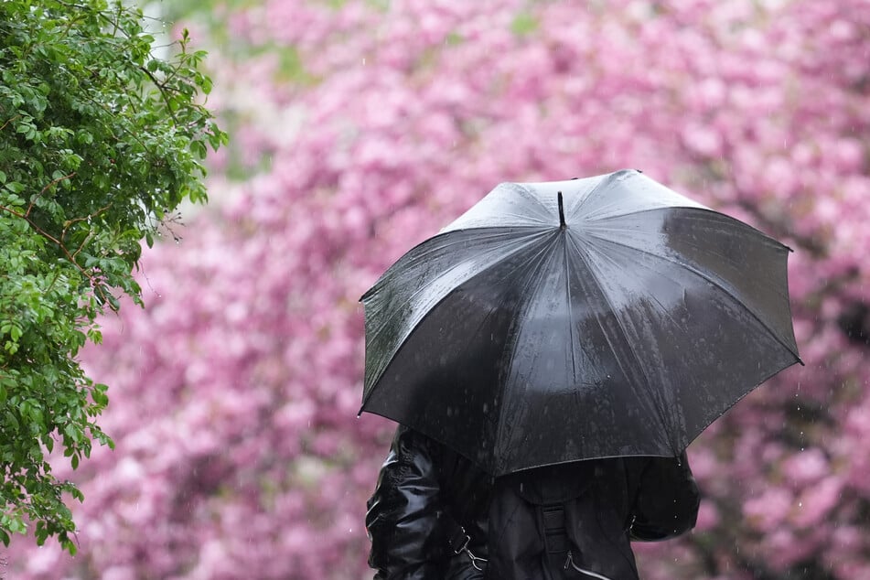 Fällt Himmelfahrt ins Wasser? So wird das Wetter im Norden