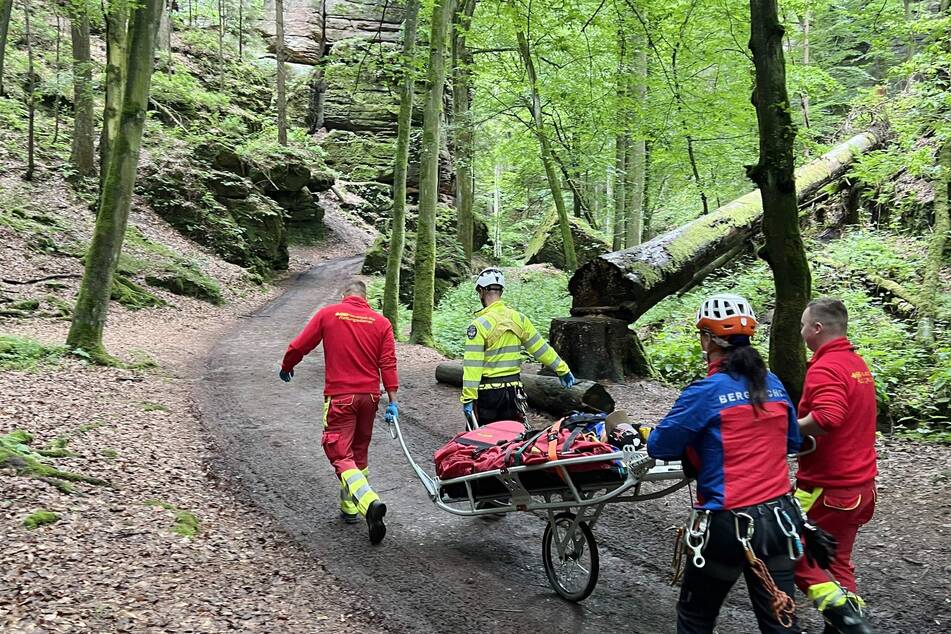 Mit einer Gebirgstrage ist ein verletzter 39-Jähriger am Montag durch den Uttewalder Grund transportiert worden.