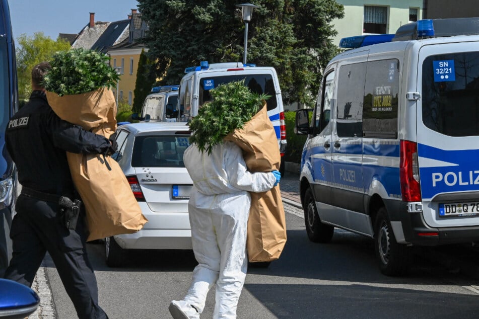 Die Polizei schleppte säckeweise Grünpflanzen aus dem Gebäude.
