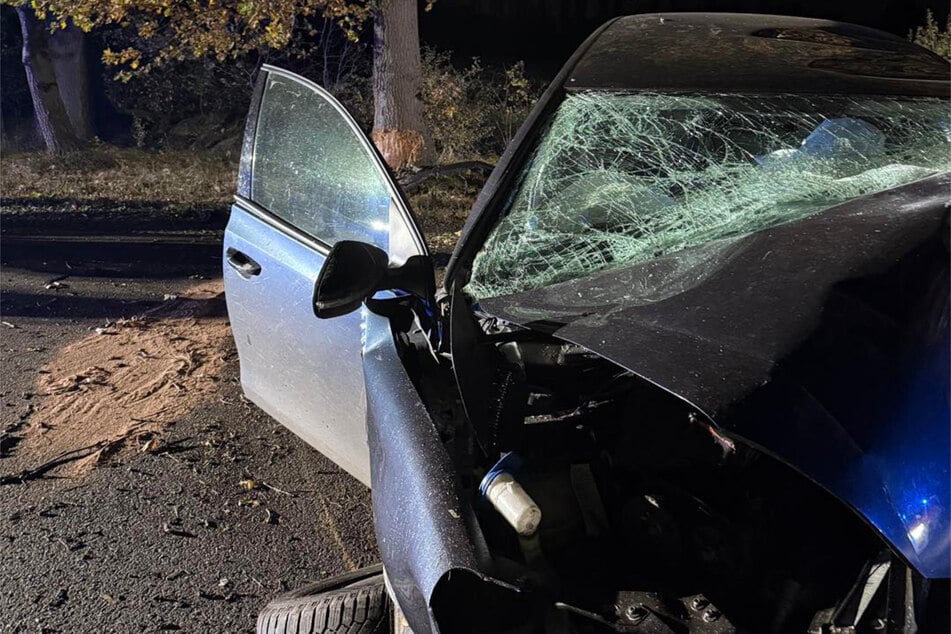 Tödlicher Unfall: Junger Mann (†20) kracht gegen Baum und stirbt