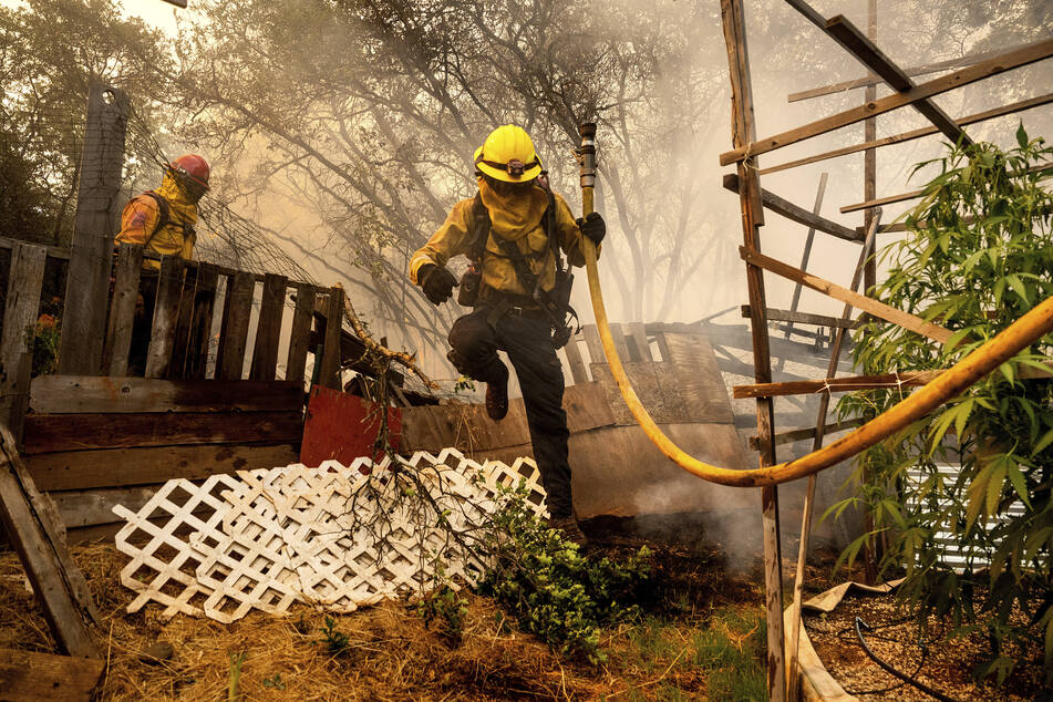 Mit mehr als 1100 Einsatzkräften kämpft die Feuerwehr seit Donnerstag gegen die Flammen.