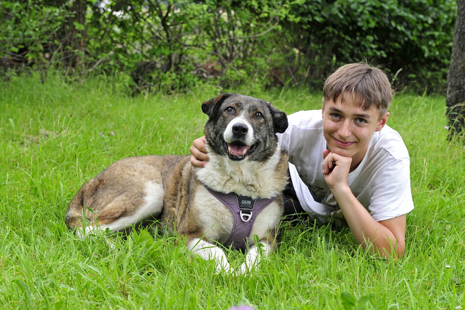 Lio (14) mit Mischlingshündin Dora (10). Das Tier kam aus Rumänien und wurde trotz Handicaps zum Lieblingshund.