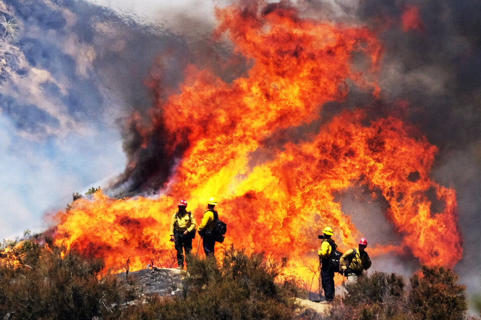 Firefighters on duty at a forest fire in California.