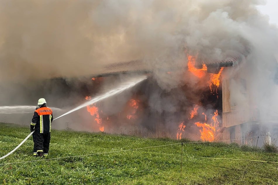 Millionenschaden nach Flammen-Inferno: Schreinerei und Wohnhaus komplett zerstört