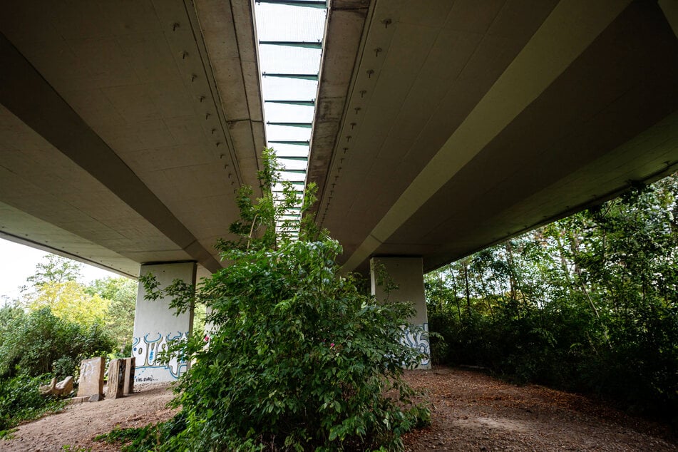 Die Brücke ist den Städten Markkleeberg und Leipzig schon länger ein Dorn im Auge. (Archivfoto)